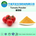 100% natural tomato powder/spray dried tomato powder